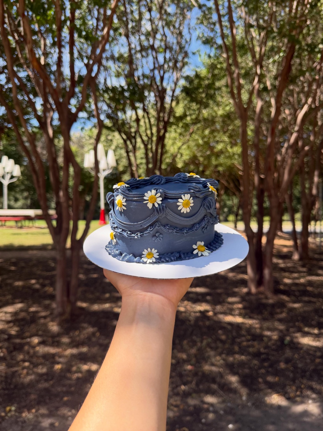 Oval Bento Cake — photo 2